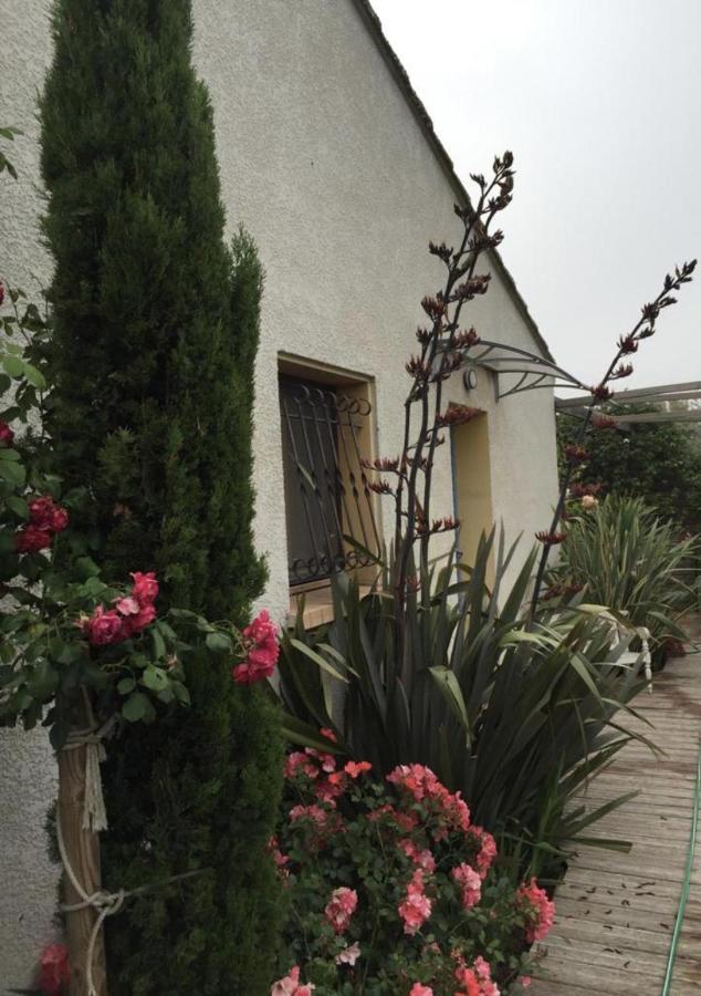 La Villa Vaihere En Camargue, L'Hibiscus Et Le Magnolia Saintes-Maries-de-la-Mer Ngoại thất bức ảnh